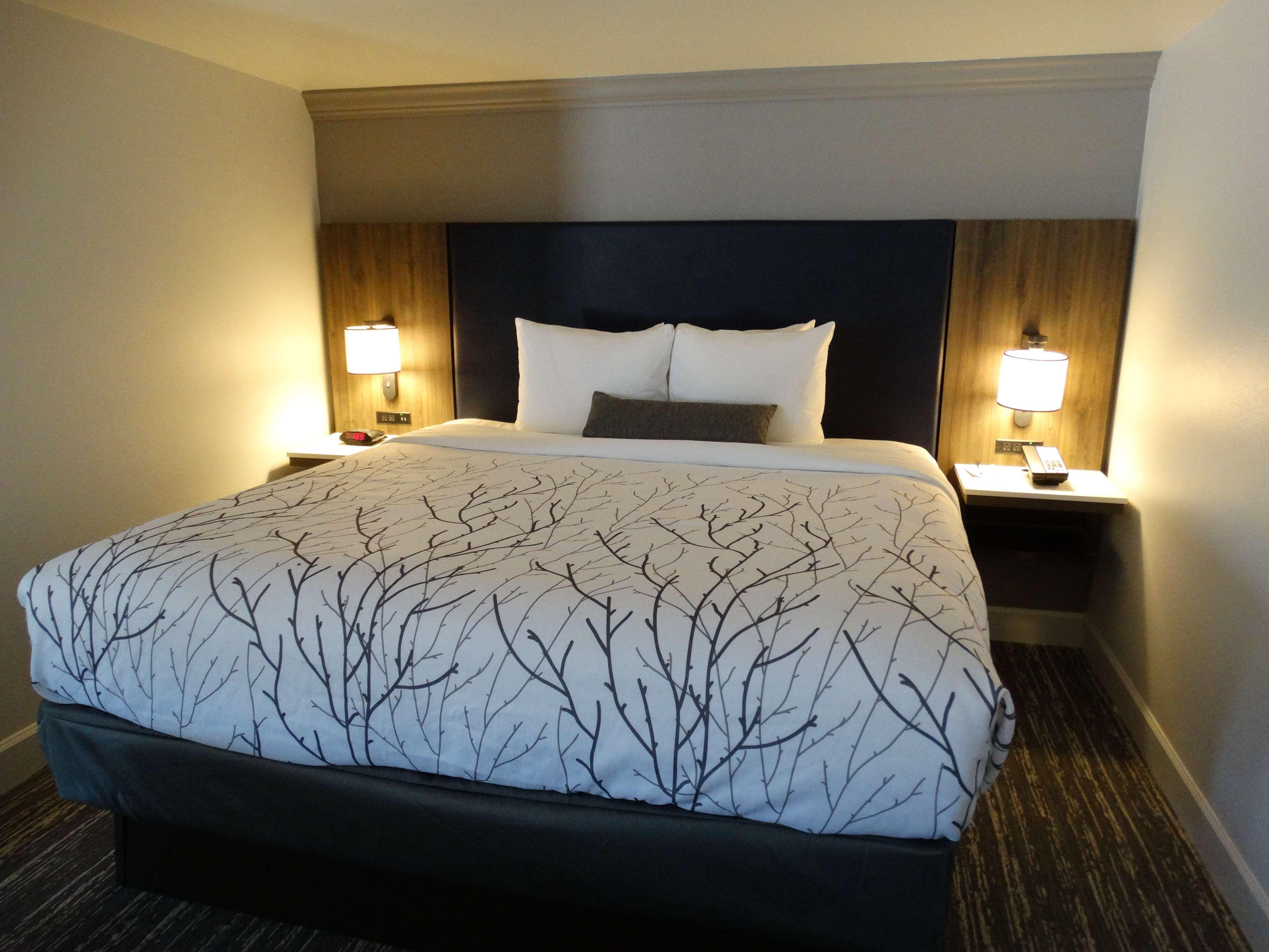 เบสต์ เวสเทิร์น พรีเมียร์ เดนเวอร์ อีสต์ Hotel ห้อง รูปภาพ
